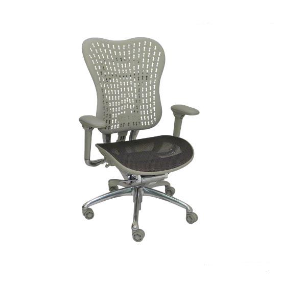 Cadeira Ergon plastic