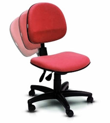Cadeira Executiva Back System